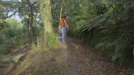 Beautiful-young-redhead-woman-walking-along-sunny-path-then-past-camera-in-English-autumn-woodland-Half-speed-slow-motion