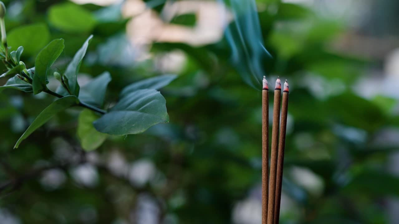 Meditative Incense Smoke Rising with Lush Green Leaves in Background