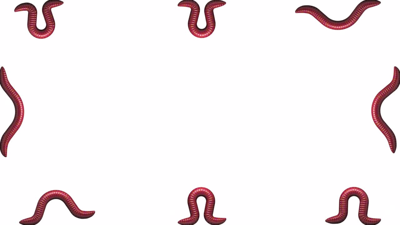 Worms on white with alpha matte, looping 3D animation
