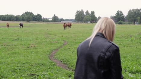 rearview of blonde girl with leather jacket admires horses in field, static, day