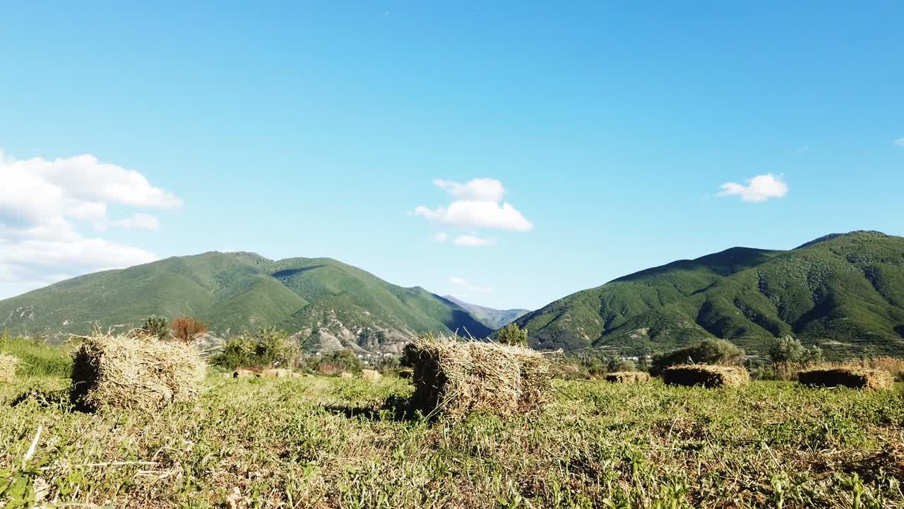 Harvested field with straw bales