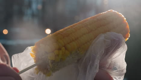 close-up of corn held on stick with waterproof wrap, partially eaten, surrounded by soft bokeh light background, focus on corn kernels and steam rising, food outdoors