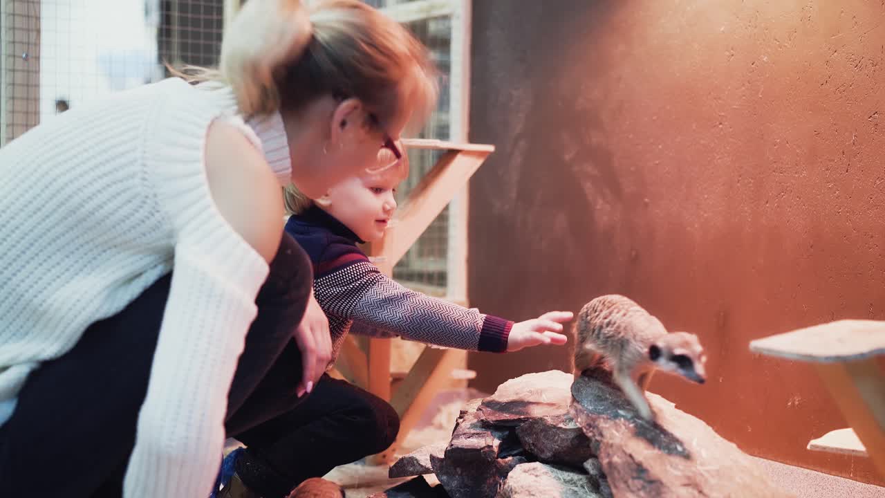 엄마 와 아들 은 작은 동물 들 과 놀고 있다