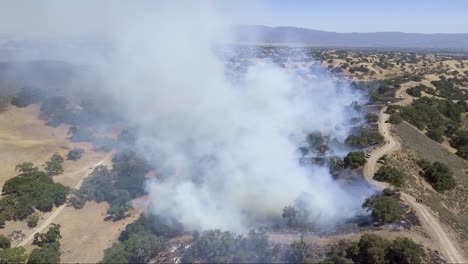 el humo sale de la cresta de la quema controlada