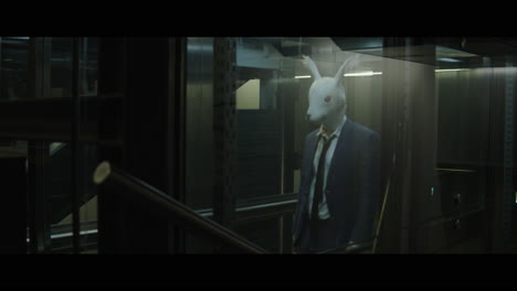 man with a rabbit head in an elevator