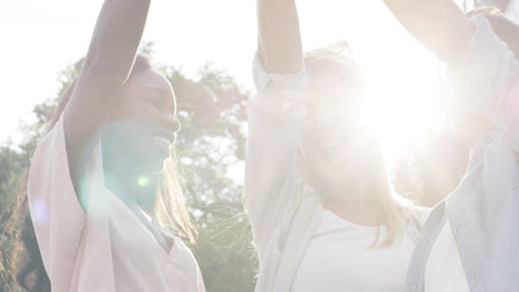 Friends-celebrating-drinking-beer-lifting-arms-summer-outdoors