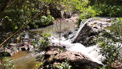 tranquil waterfall in a lush forest