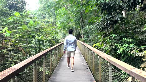 Hombre-Caminando-En-Un-Puente-De-Madera-En-El-Parque-Natural-De-Windsor,-Singapur---Tiro-De-Seguimiento