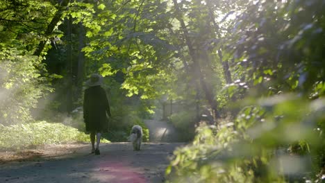 chica paseando a un perro en un camino de tierra en el bosque con una llamarada solar pasando entre ramas