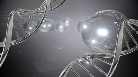 mitosis y adn