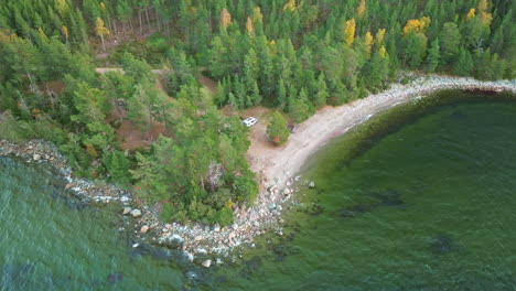 rough waves in coastal fir forest