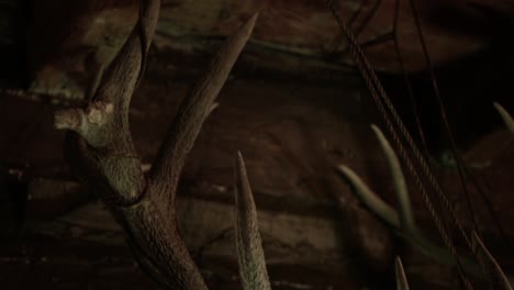 a pan tilt of a creppy skull and antlers hanging on the wall of a wooden cabin