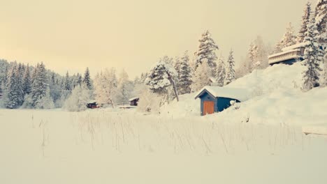 countryside landscape with cottages and frozen foreground during winter