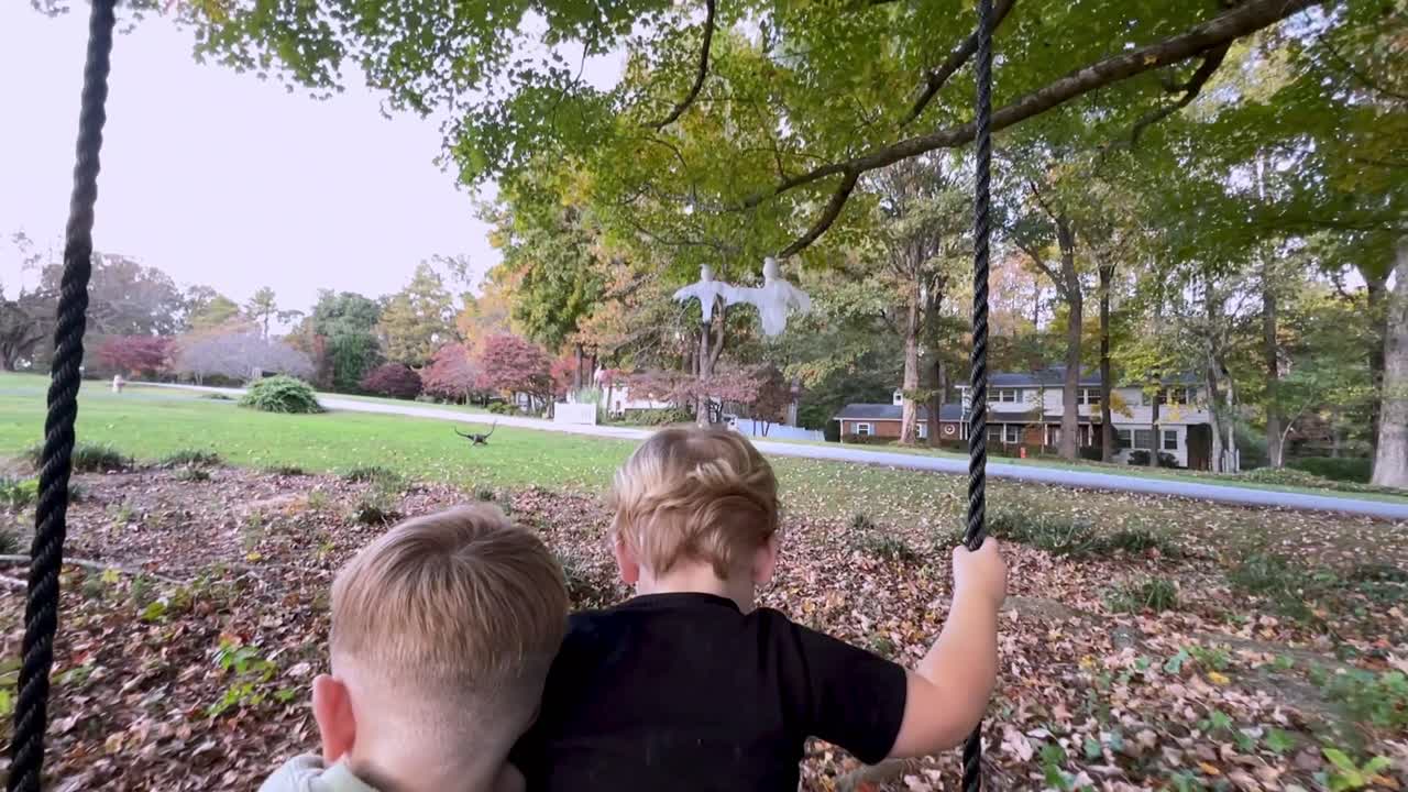 brothers hug on swing in fall, brotherly love