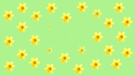 animation of blue and yellow flowers on green background