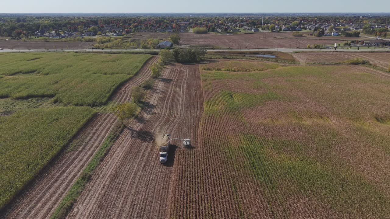A combine in northeast Wisconsin chops corn for silage. Chopping corn silage is a process for creating high-quality feed for livestock, involving careful timing, moisture management, and equipment