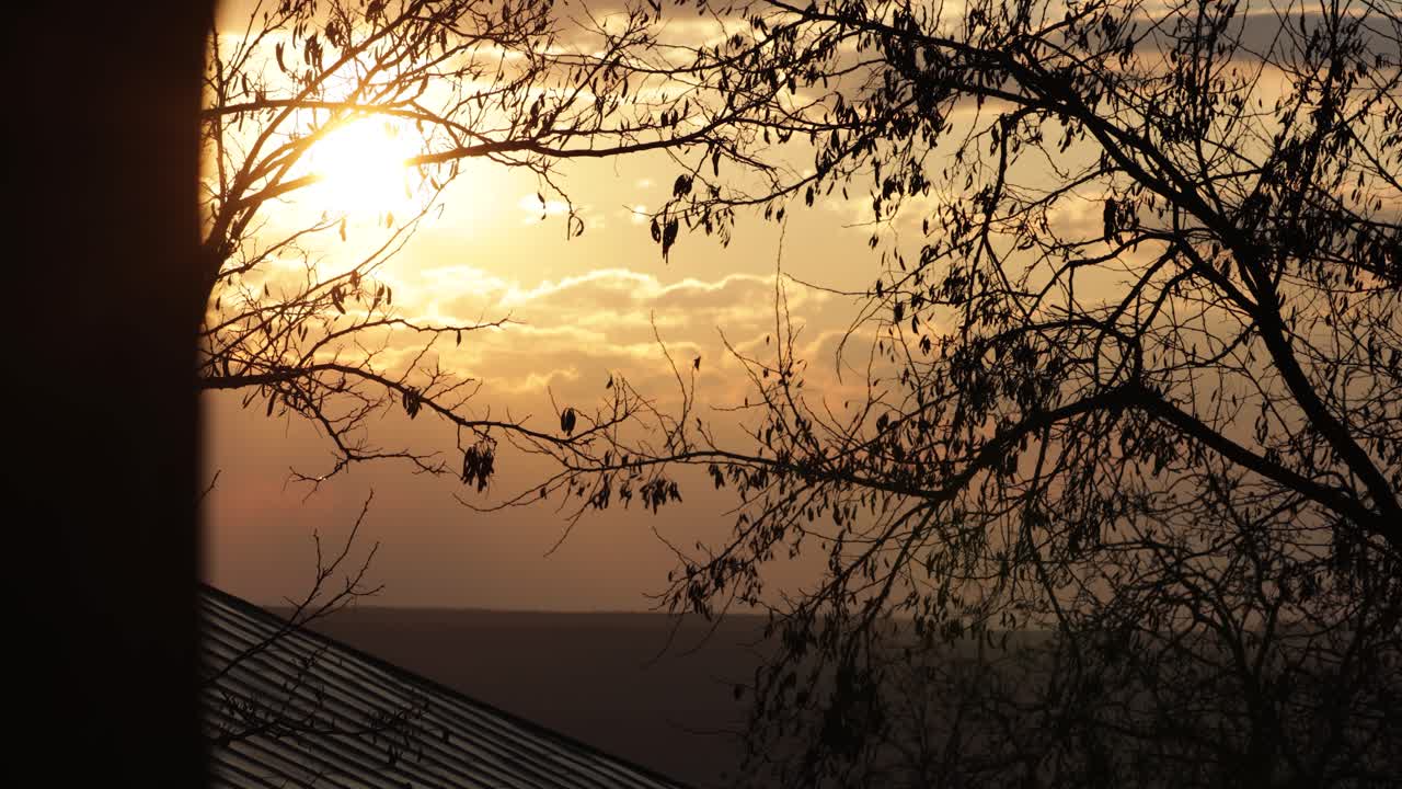 해질녘 배경에 밝은 태양과 구름이 있는 나무의 실루엣