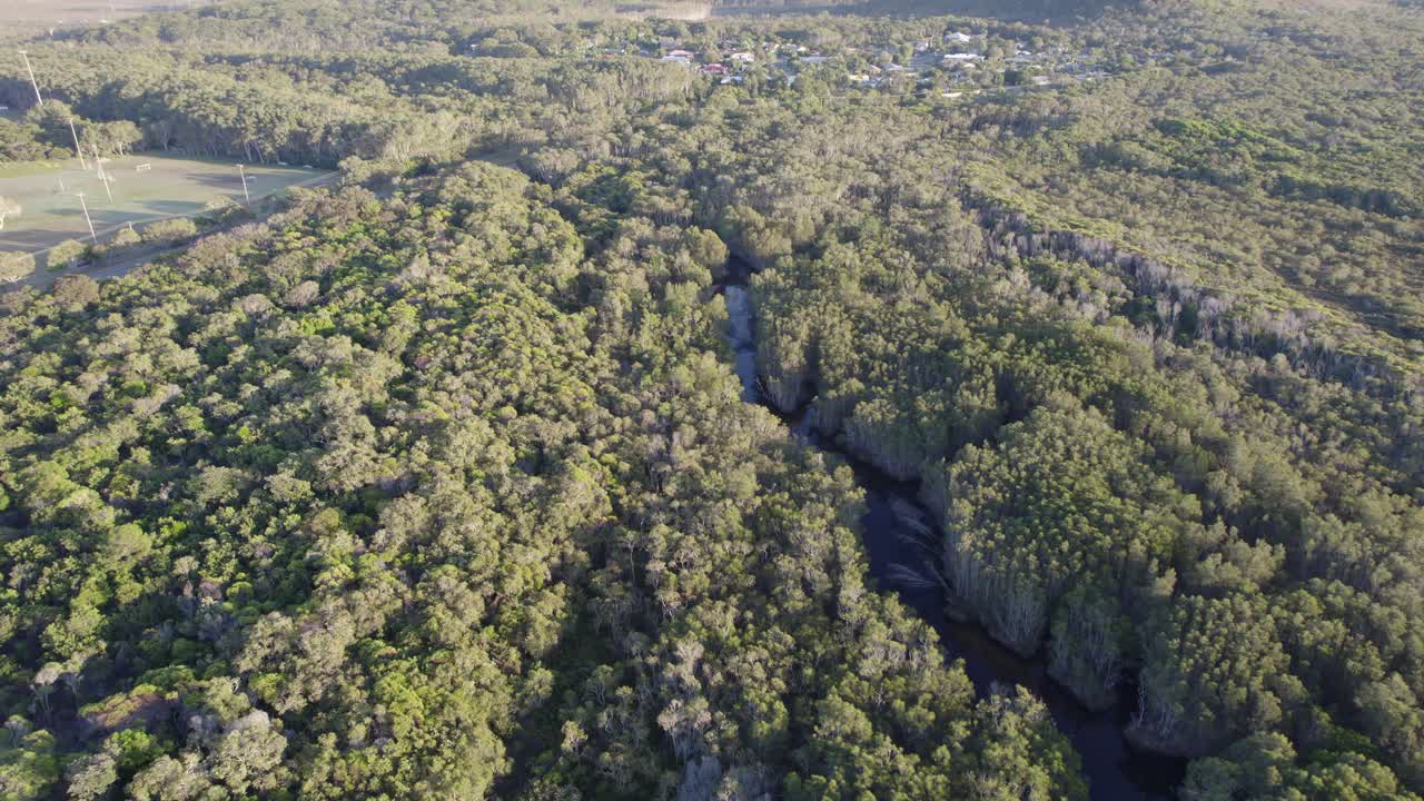 stumers creek en medio de los árboles en queensland, australia