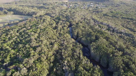 Stumers-Creek-Amidst-Trees-In-Queensland,-Australia