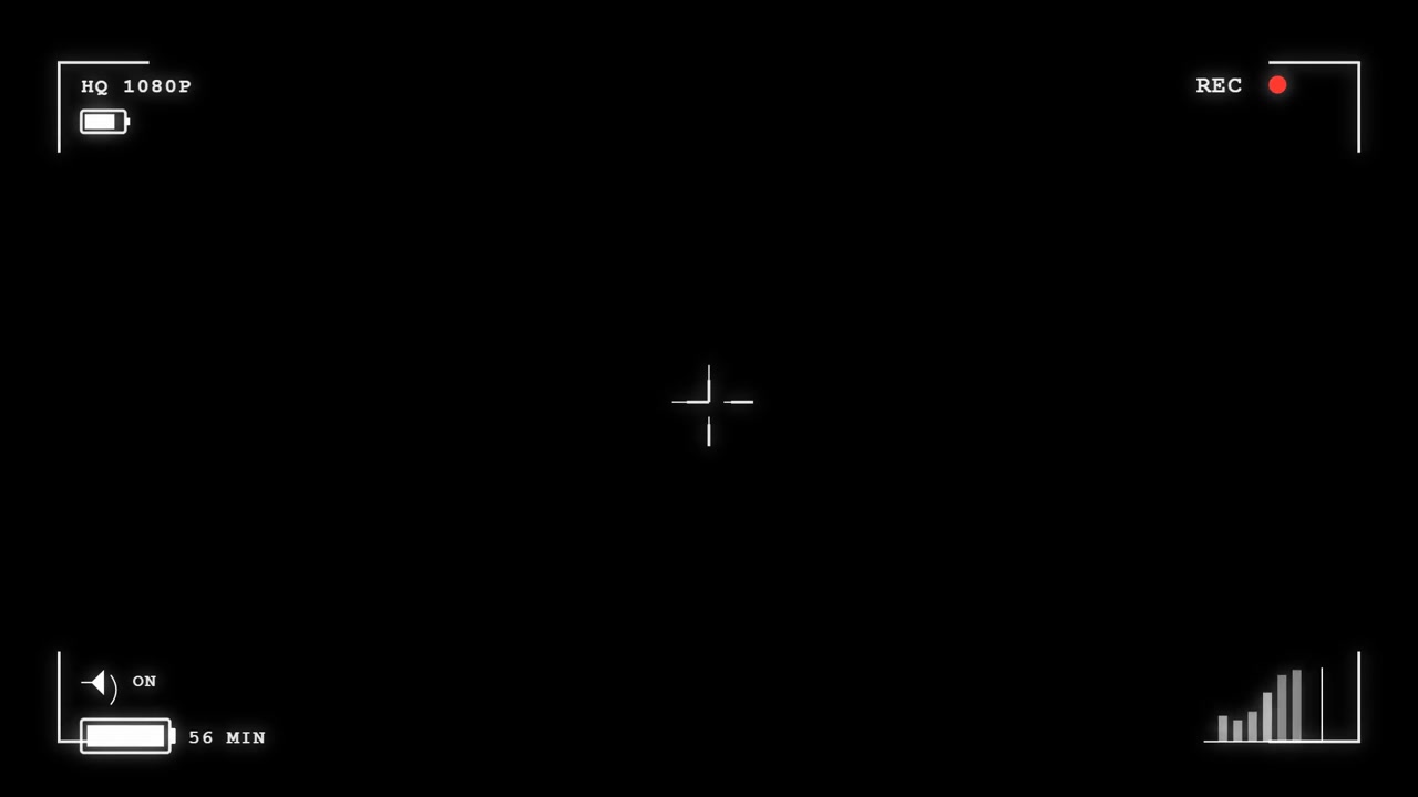 Digital Camera Viewfinder Overlay with Recording Indicator