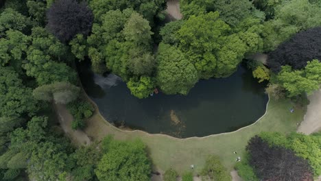 Parque-Verde-De-La-Ciudad-En-La-Mañana-Soleada-De-Verano