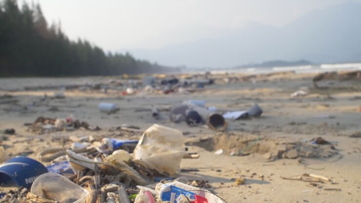 Tracking Over Trash on Beach