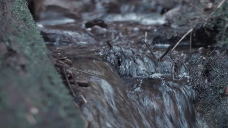 Stream-flowing-through-forest