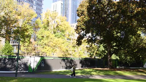 bird flying through a city park