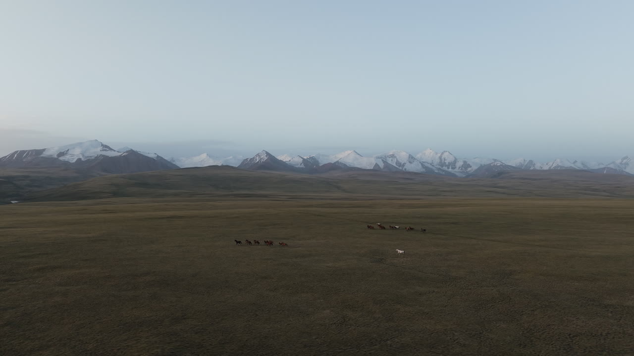 Kyrgyzstan - A Wide, Open Plain Stretches Toward a Distant Line of Snow-capped Mountains under a Calm, Pale Sky - Aerial Drone Shot