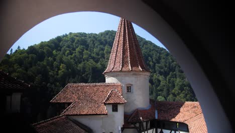 appreciation of the peaked roofs of bran castle in romania.