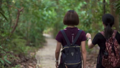 2-Chicas-Asiáticas-Haciendo-Senderismo-En-Bukit-Timah,-Singapur