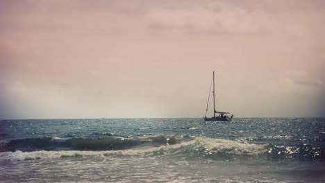 wiakiki beach 08
