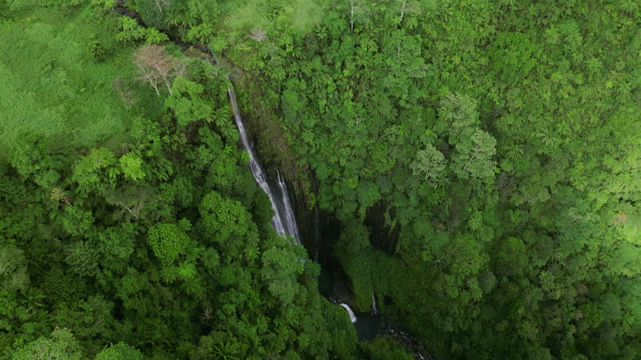 acercándose a la cascada papapapai-uta cubierta de una exuberante selva tropical en la isla de upolu, samoa