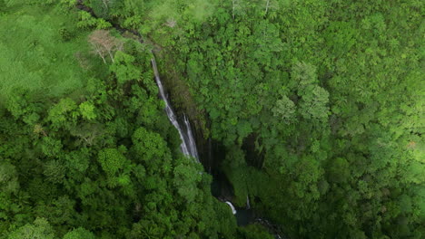Acercándose-A-La-Cascada-Papapapai-uta-Cubierta-De-Exuberante-Selva-Tropical-En-La-Isla-De-Upolu,-Samoa
