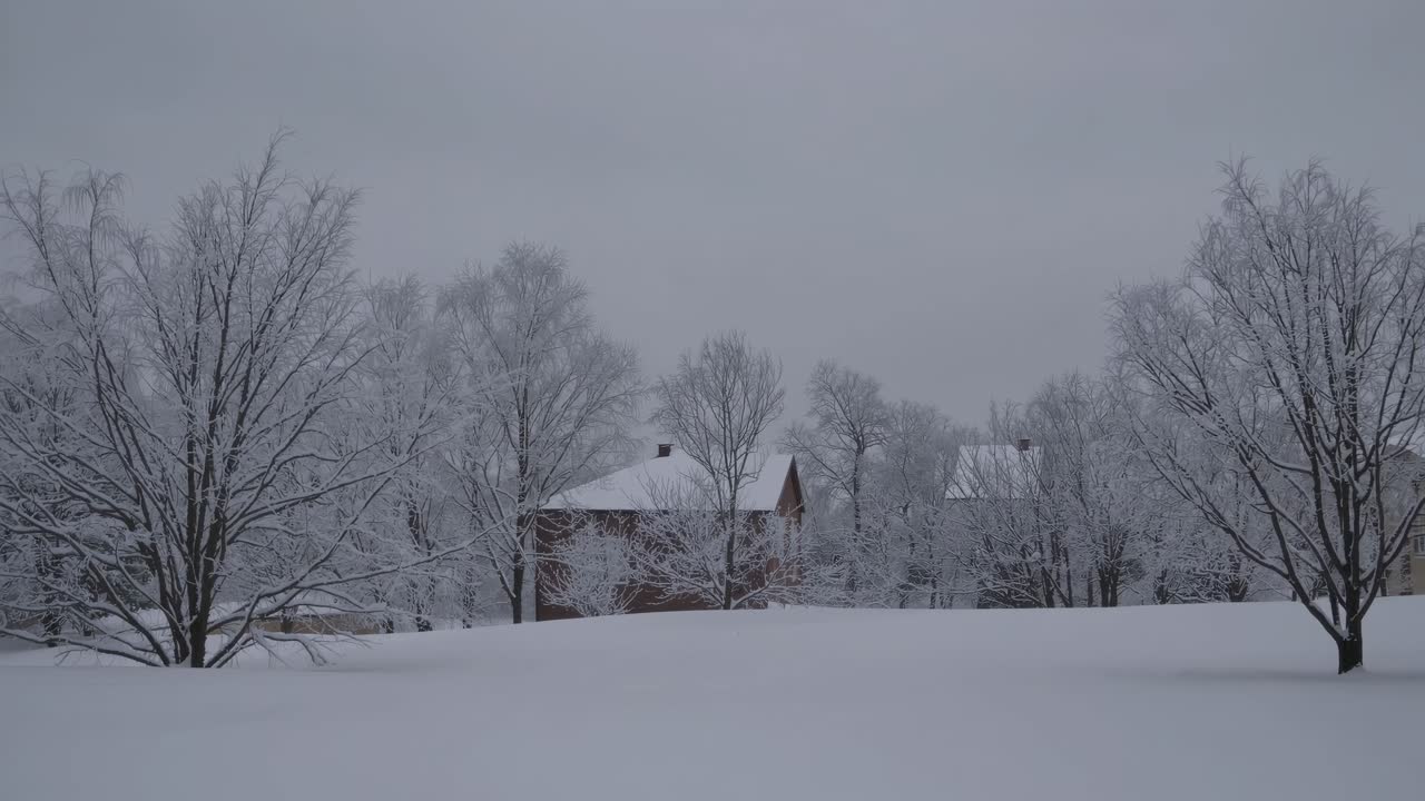 A serene winter landscape video with snow-covered trees and houses, captured from a low angle
