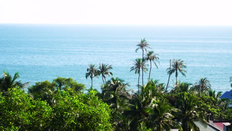 tropical palm trees and blue sea from beachfront hotel at summer in vietnam