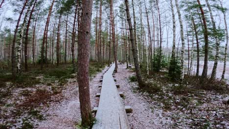 wide angle pov footage on narrow wooden trail in snowy latvian wetland forest