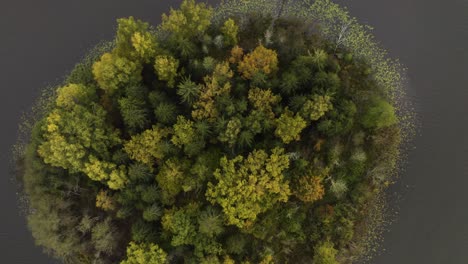 drone de cerca de una isla solitaria con un bosque en medio de un lago