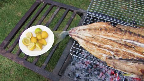 fish fillet on the grill or barbecue