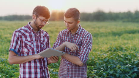dos jóvenes agricultores trabajan en el campo estudiando los brotes de las plantas 1
