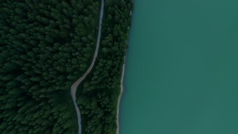turquoise water and green woods at frumoasa dam in harghita county, romania. aerial