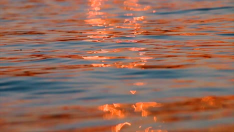 the light is reflected in the water, in the gold color