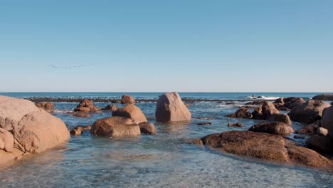 a view of the ocean gently moving while a flock of birds fly overhead