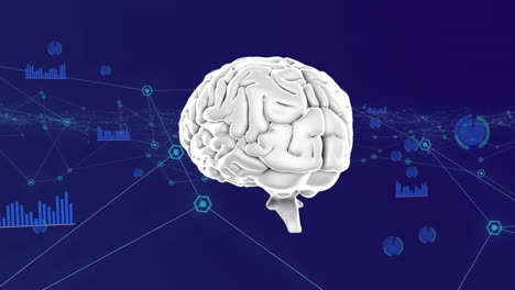 animación de una red de conexiones de procesamiento de datos con cerebro humano sobre fondo azul