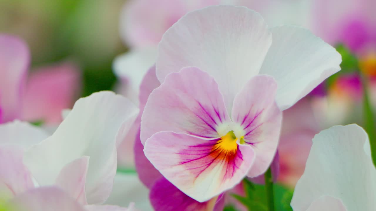 la mejor vista en yokohama