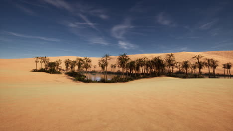 un oasis en el desierto con palmeras