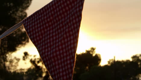 slow motion sequence of colorful bunting hanging in garden