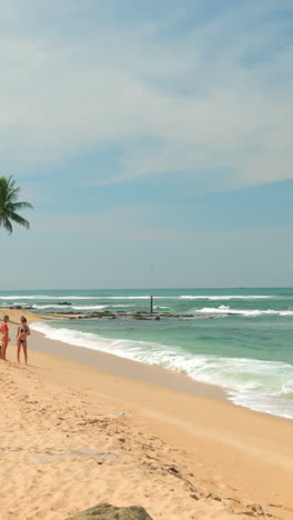 beautiful beach scene with people