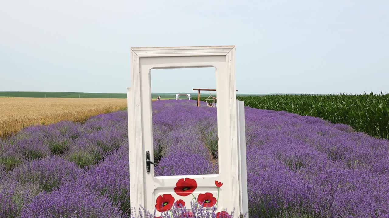 아름다운 꽃과 라벤더 밭 한가운데 소품으로 오래된 흰색 문