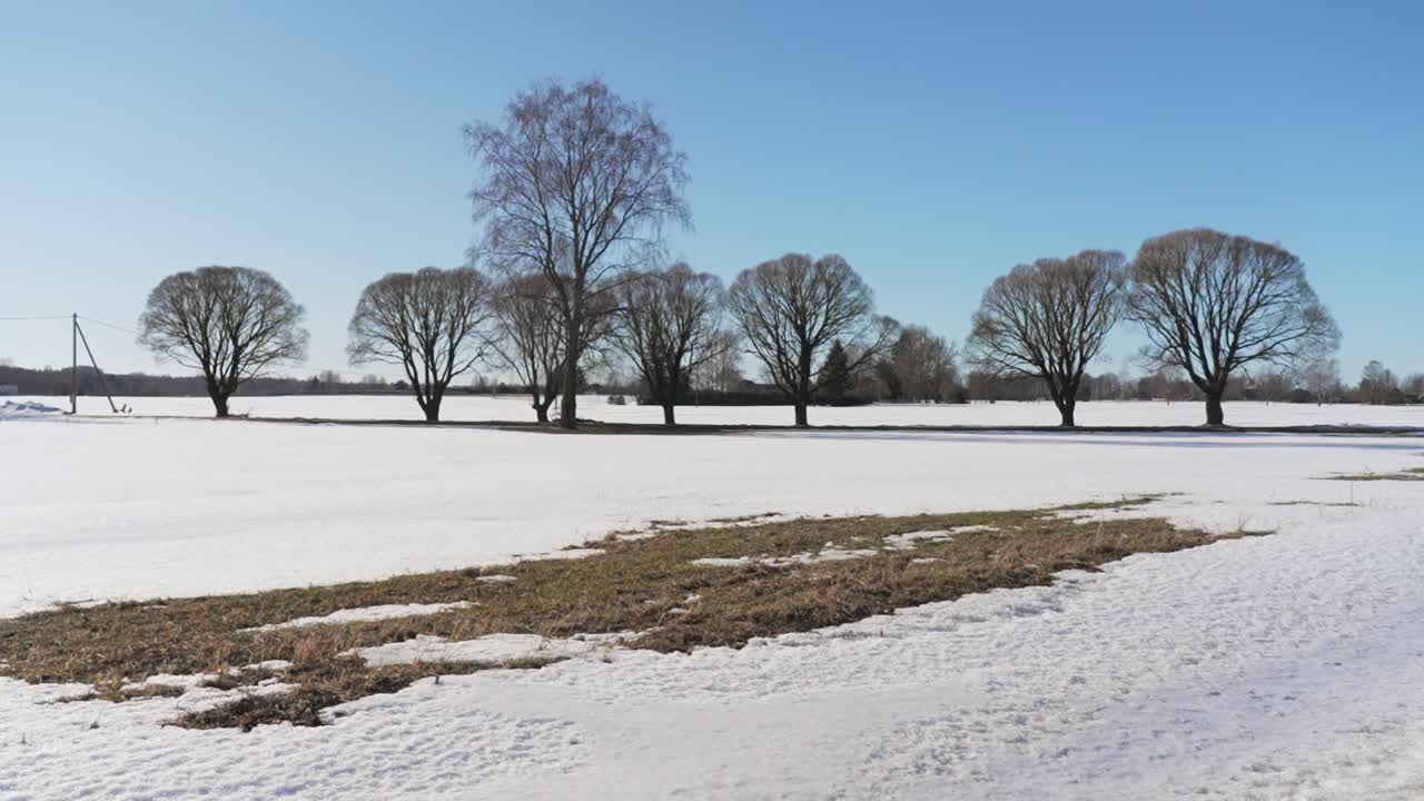 잎이 없는 나무가 있는 겨울 들판의 아름다운 사진